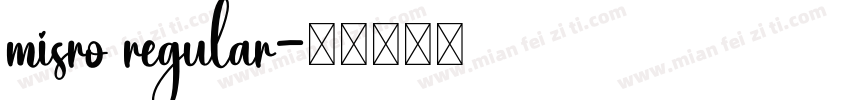 misro regular字体转换